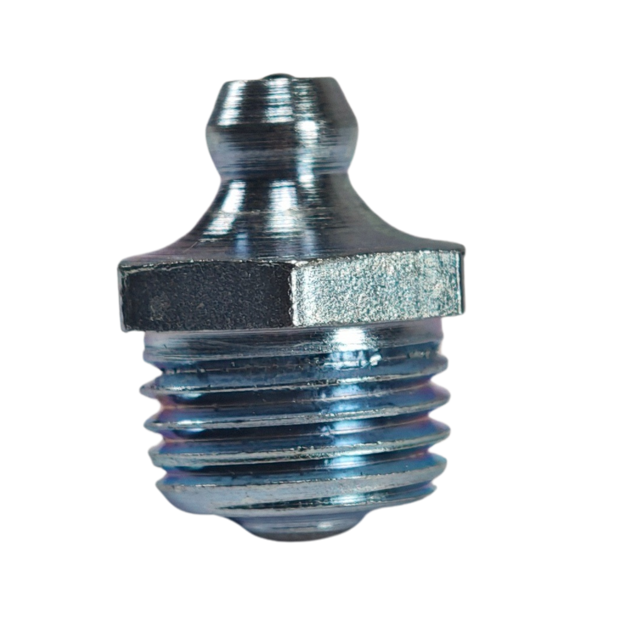 Graxeira Reta - Imagem 3