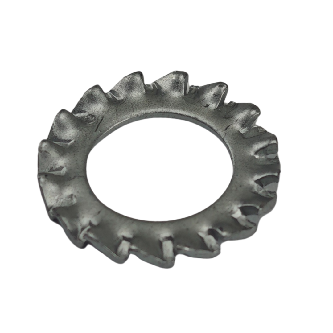 Arruela Dentada Externa - Imagem 3