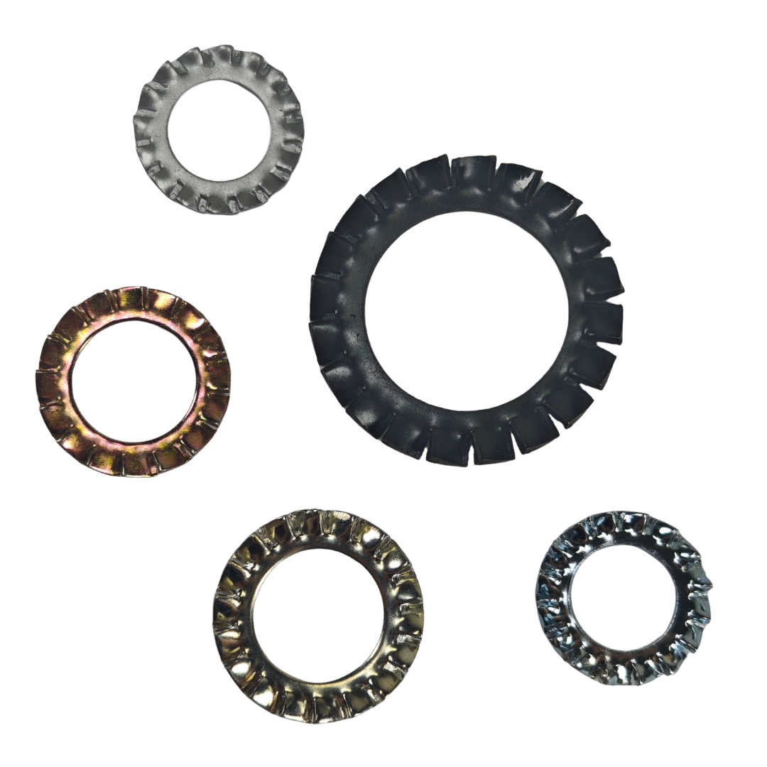 Arruela Dentada Externa - Imagem 7