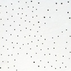 FORRO MINERAL ECOMIN FILIGRAN 1250x625X13MM