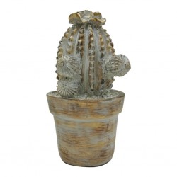 Cacto Decorativo em Resina Marrom BTC