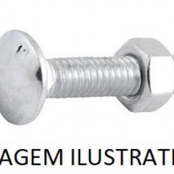 PARAF FRAN RI ZI C/ PORCA 5/16X2