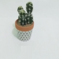 F - ARRANJO CACTOS X4 MODELOS SORTIDOS