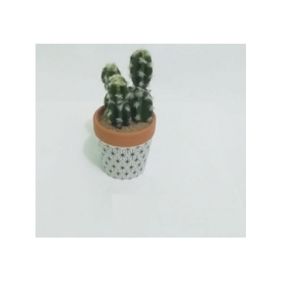 F - ARRANJO CACTOS X4 MODELOS SORTIDOS