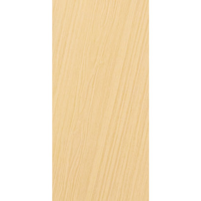 PORTA LISA PINTURA 210X80